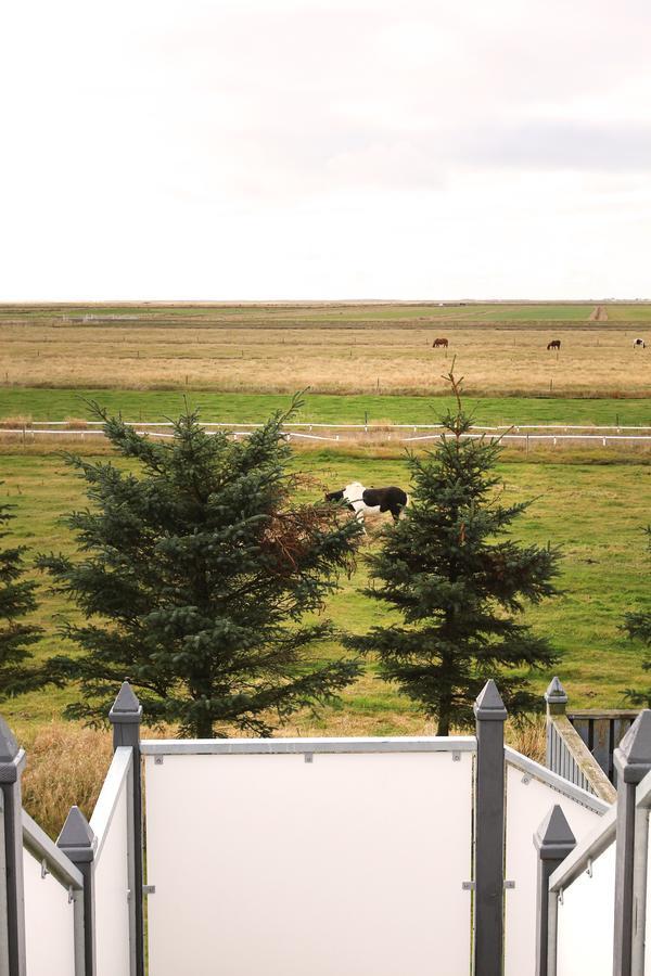 Armot Guesthouse Hvolsvollur ภายนอก รูปภาพ